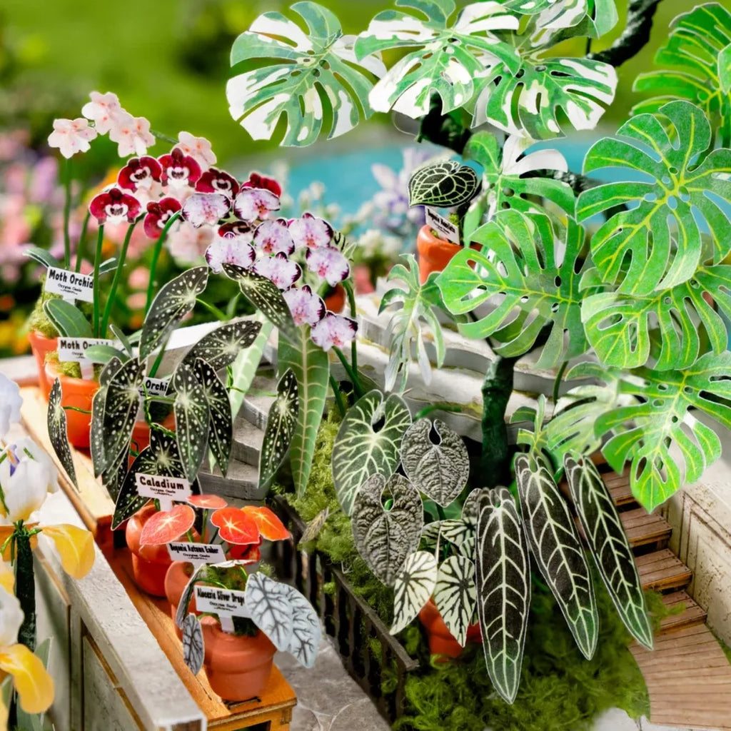 Oxygen Oasis DIY Miniature House
