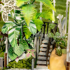 Oxygen Oasis DIY Miniature House