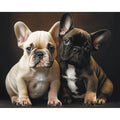 Bulldog Buddies 5D Diamond Painting, 40×50 cm