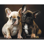 Bulldog Buddies 5D Diamond Painting, 40×50 cm