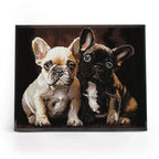 Bulldog Buddies 5D Diamond Painting, 40×50 cm