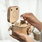 Treasure Box Mechanical 3D Wooden Puzzle