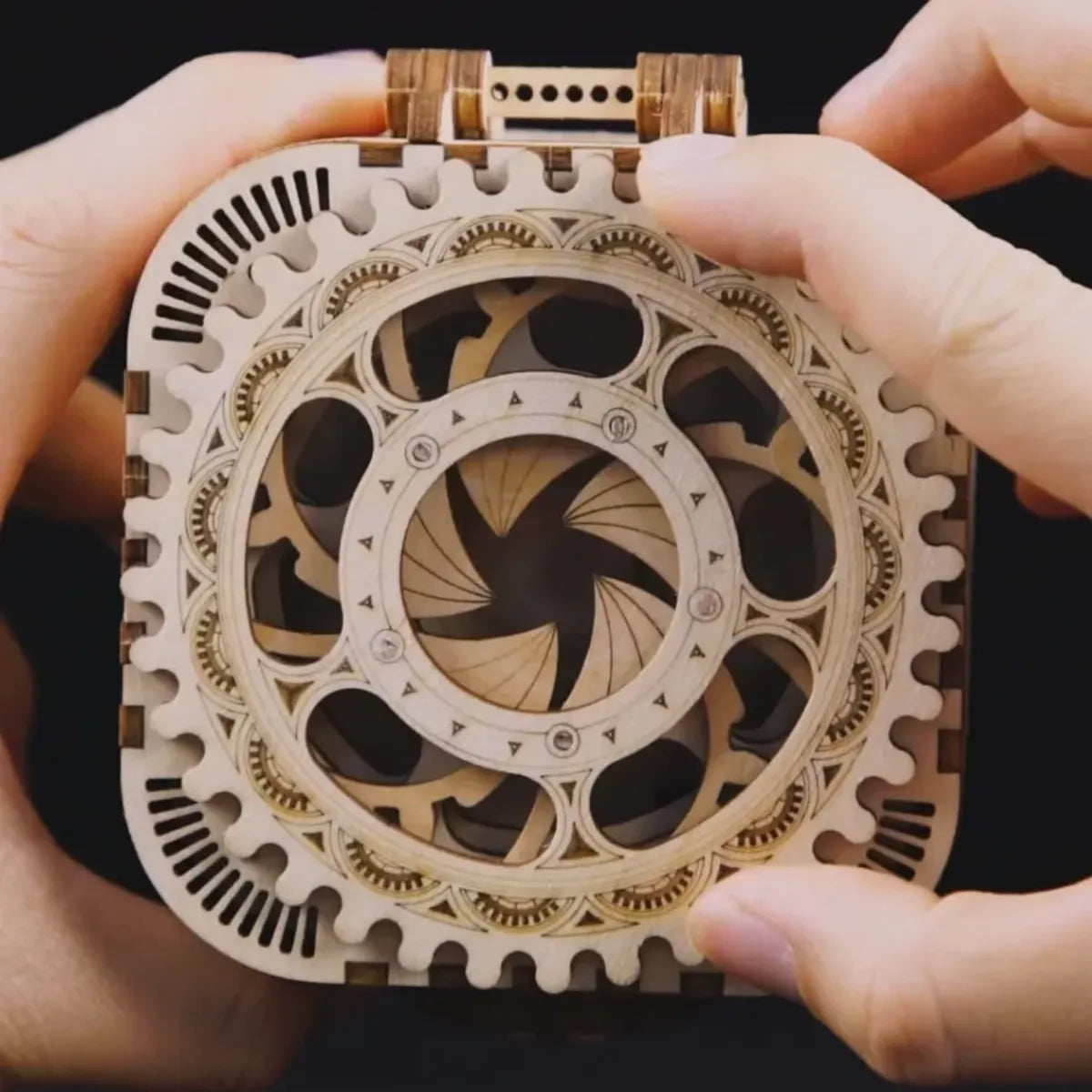 Treasure Box Mechanical 3D Wooden Puzzle
