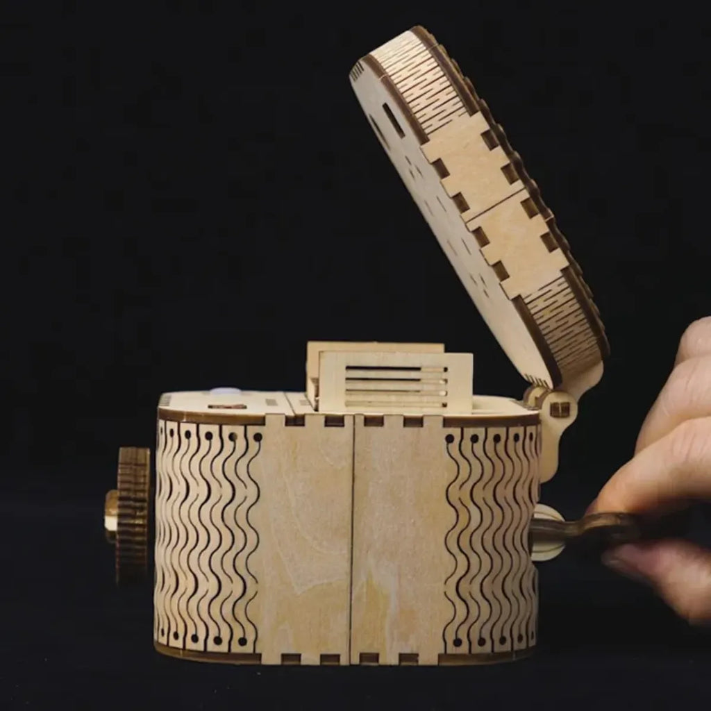 Treasure Box Mechanical 3D Wooden Puzzle