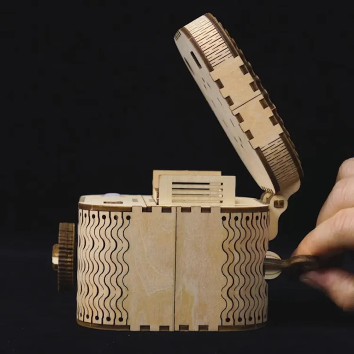 Treasure Box Mechanical 3D Wooden Puzzle