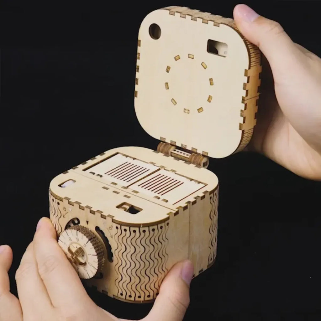 Treasure Box Mechanical 3D Wooden Puzzle