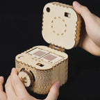 Treasure Box Mechanical 3D Wooden Puzzle