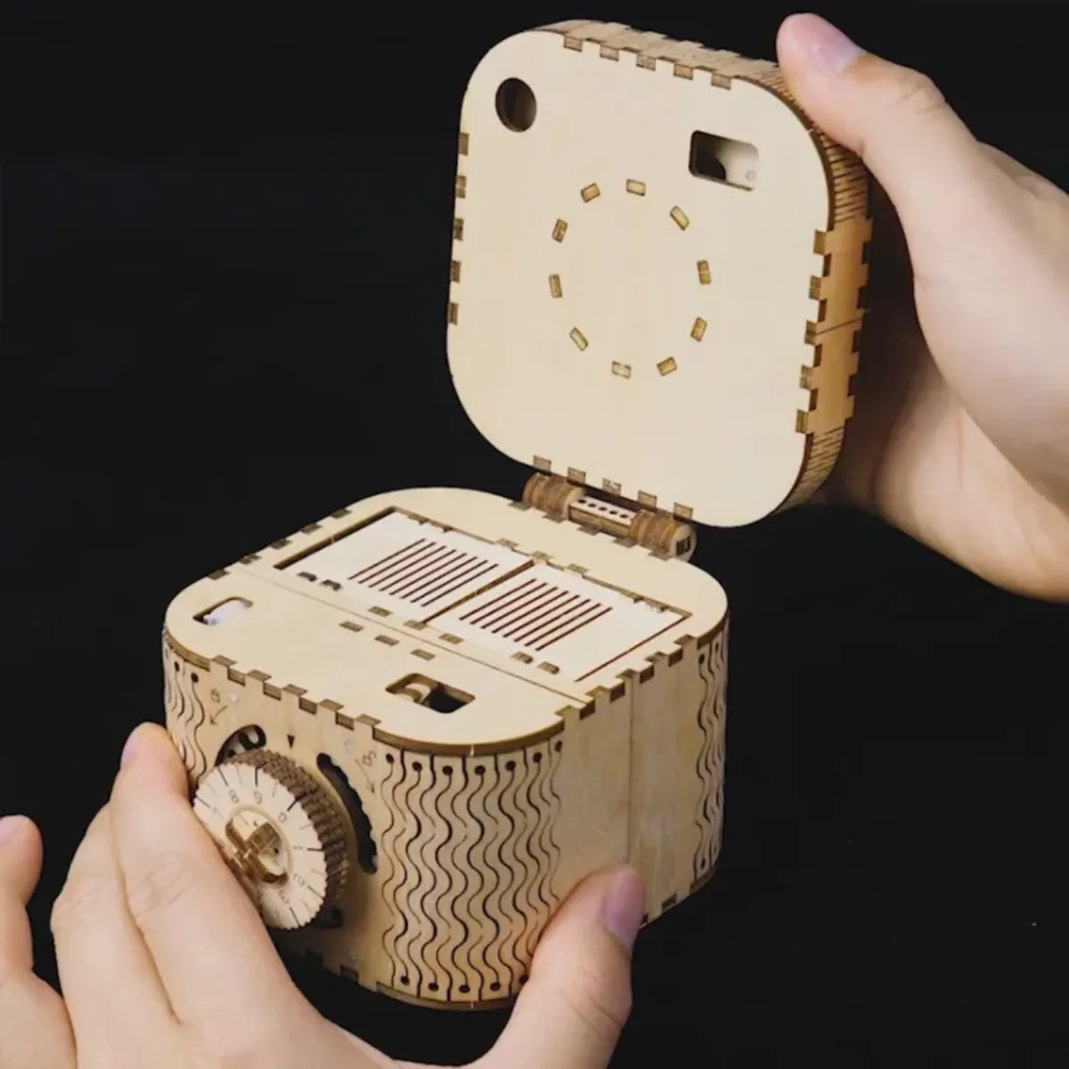 Treasure Box Mechanical 3D Wooden Puzzle