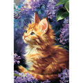 Ginger Kitten Paint by Numbers Kit 30x40cm