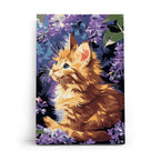 Ginger Kitten Paint by Numbers Kit 30x40cm