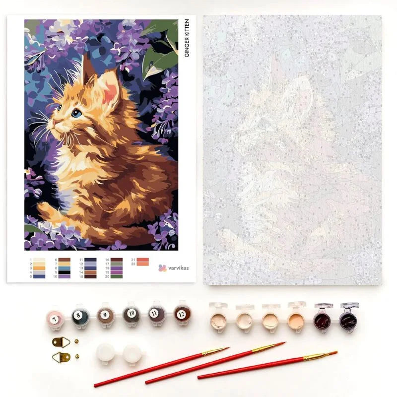 Ginger Kitten Paint by Numbers Kit 30x40cm