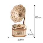 Gramophone 3D Wooden Puzzle